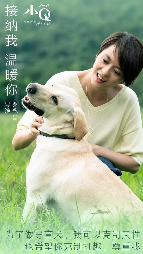 博科尼大学Economics Degree Certificate